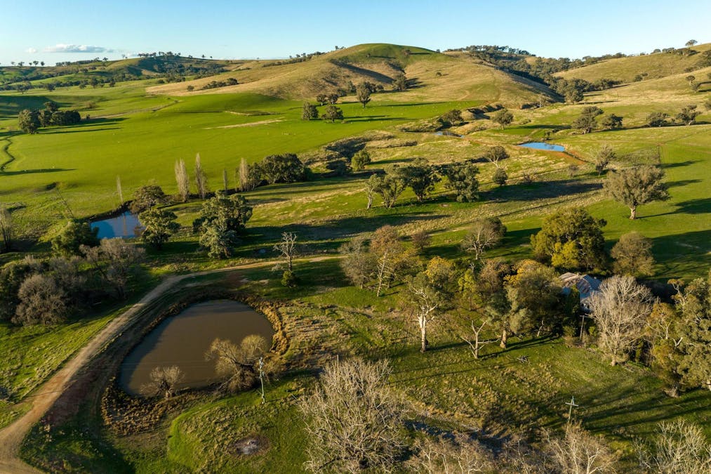 8232 Tumbarumba Road, Wagga Wagga, NSW, 2650 - Image 10