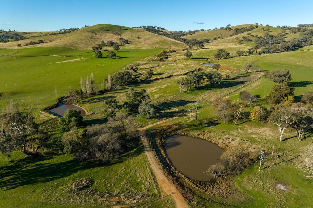 8232 Tumbarumba Road, Wagga Wagga, NSW, 2650 - Image 11