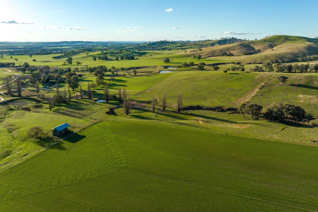 8232 Tumbarumba Road, Wagga Wagga, NSW, 2650 - Image 12