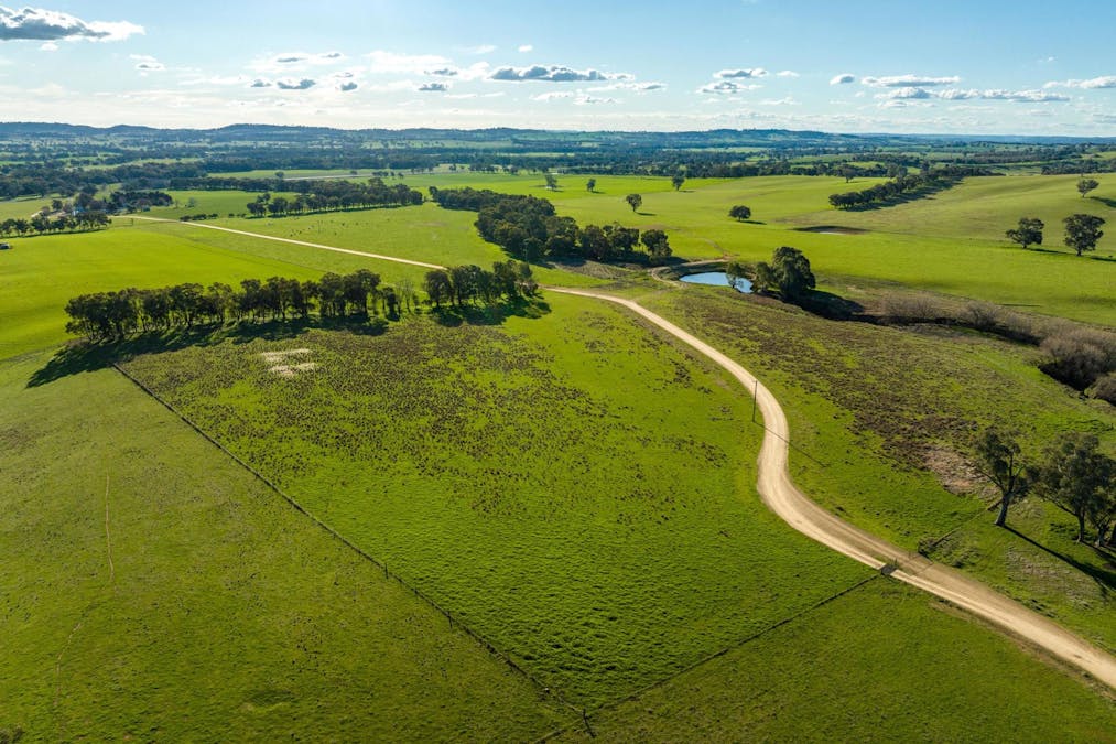 8232 Tumbarumba Road, Wagga Wagga, NSW, 2650 - Image 13