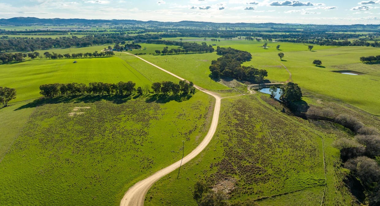 8232 Tumbarumba Road, Wagga Wagga, NSW, 2650 - Image 14