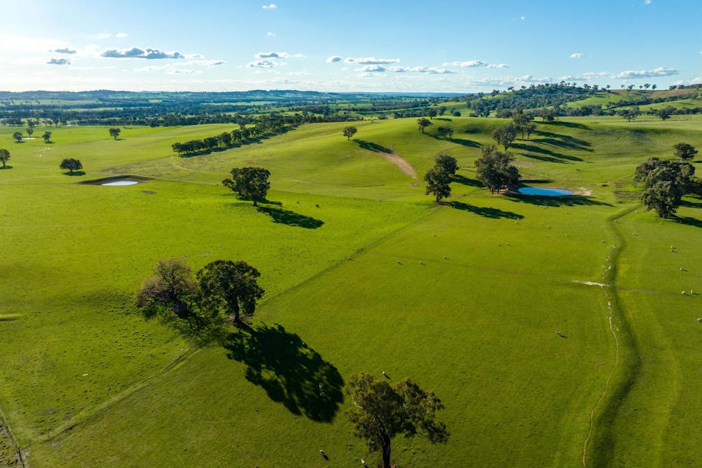 8232 Tumbarumba Road, Wagga Wagga, NSW, 2650 - Image 15