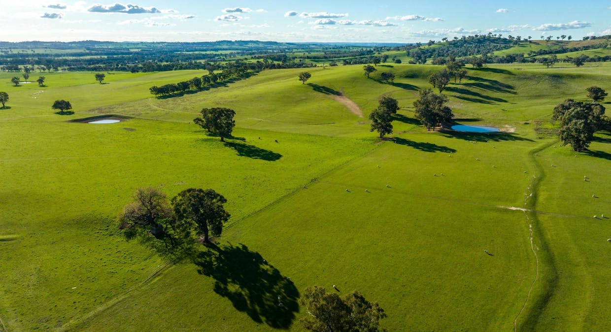 8232 Tumbarumba Road, Wagga Wagga, NSW, 2650 - Image 15