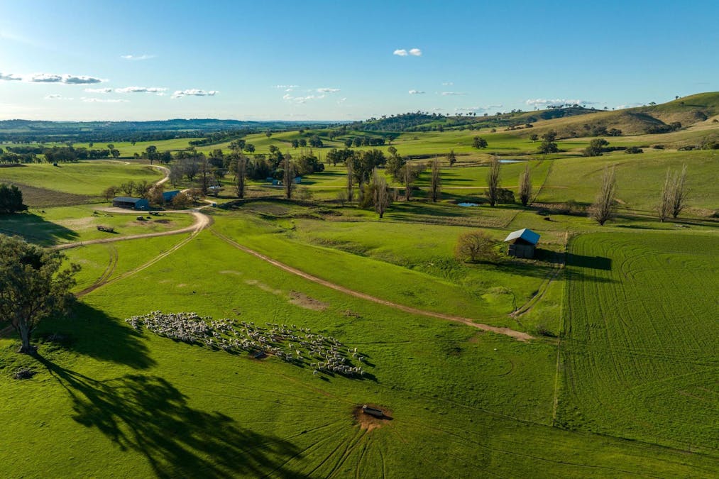 8232 Tumbarumba Road, Wagga Wagga, NSW, 2650 - Image 16