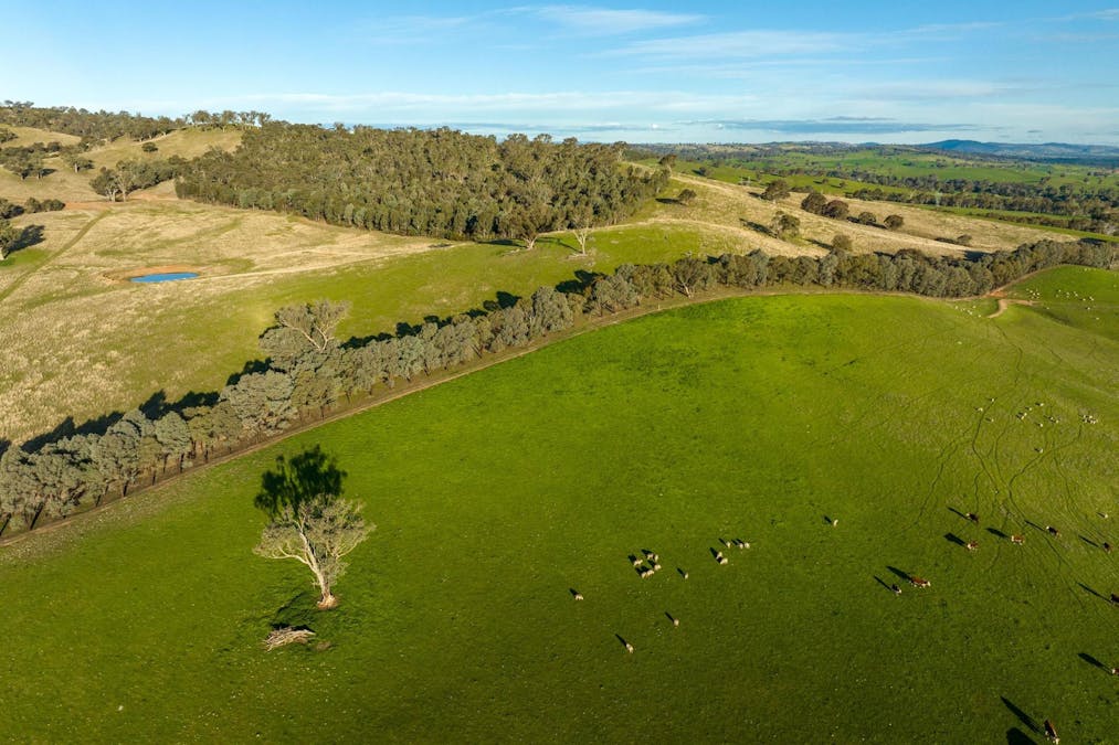 8232 Tumbarumba Road, Wagga Wagga, NSW, 2650 - Image 19