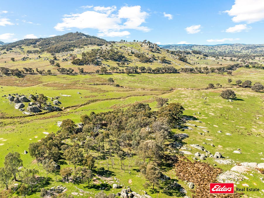 Reids Flat Road, Reids Flat, NSW, 2586 - Image 17