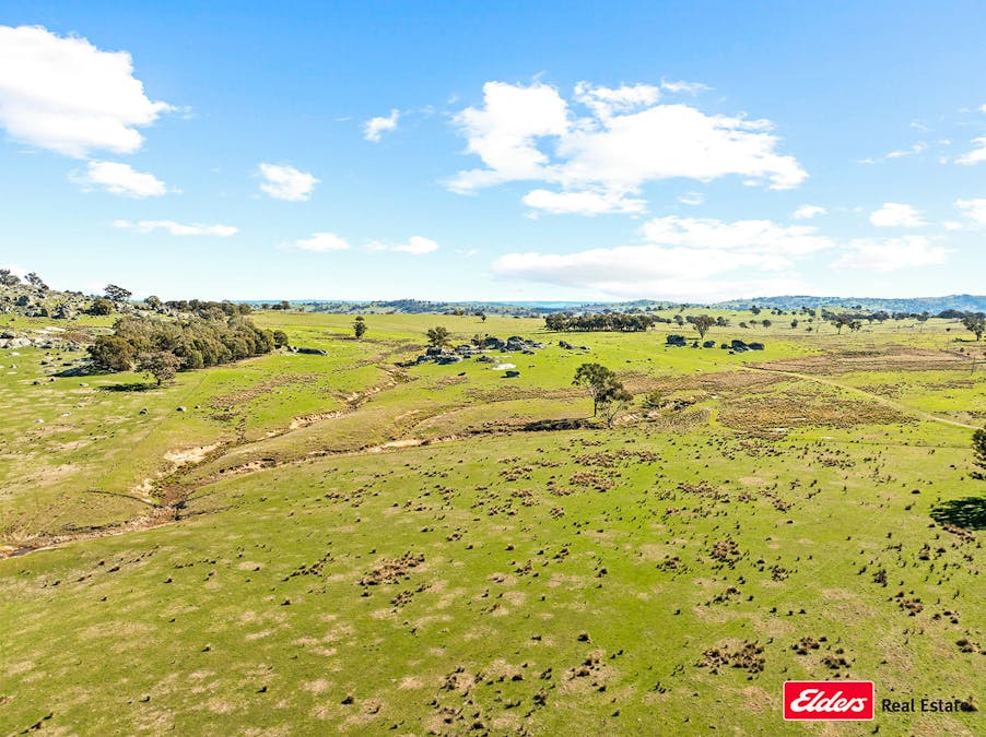 Reids Flat Road, Reids Flat, NSW, 2586 - Image 6