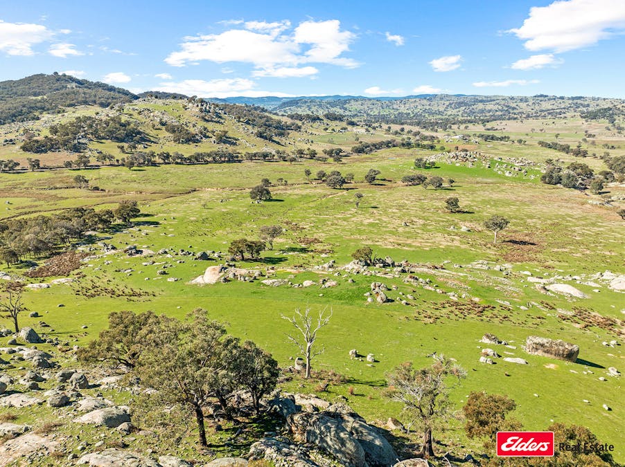 Reids Flat Road, Reids Flat, NSW, 2586 - Image 15
