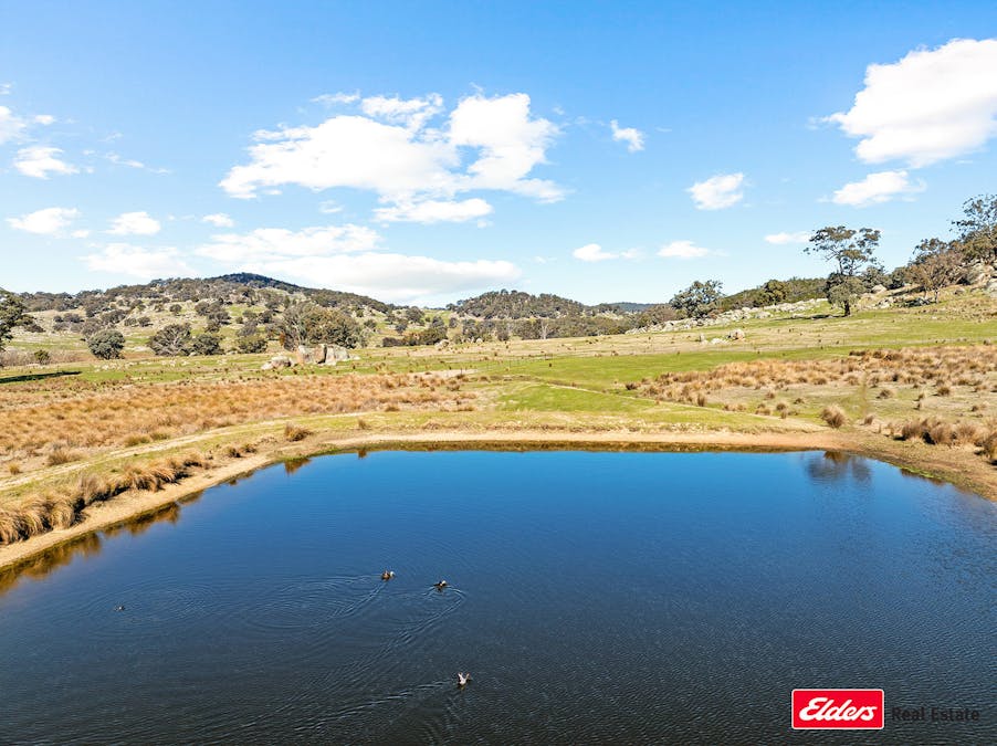 Reids Flat Road, Reids Flat, NSW, 2586 - Image 5