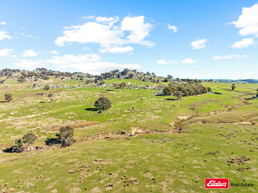 Reids Flat Road, Reids Flat, NSW, 2586 - Image 12