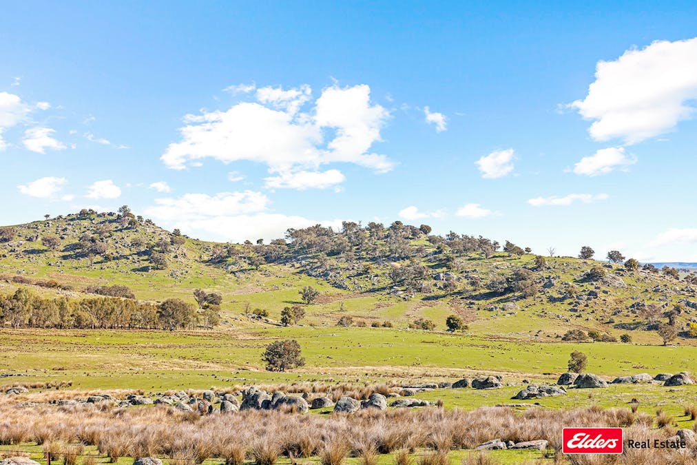 Reids Flat Road, Reids Flat, NSW, 2586 - Image 20