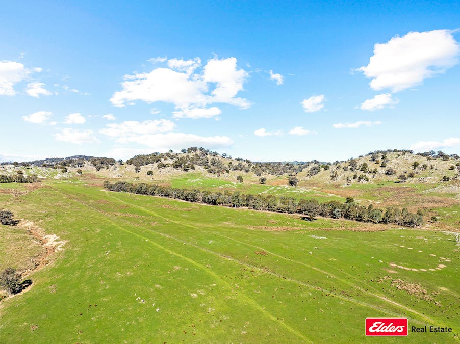 Reids Flat Road, Reids Flat, NSW, 2586 - Image 2