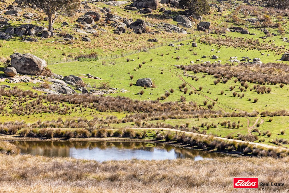 Reids Flat Road, Reids Flat, NSW, 2586 - Image 22