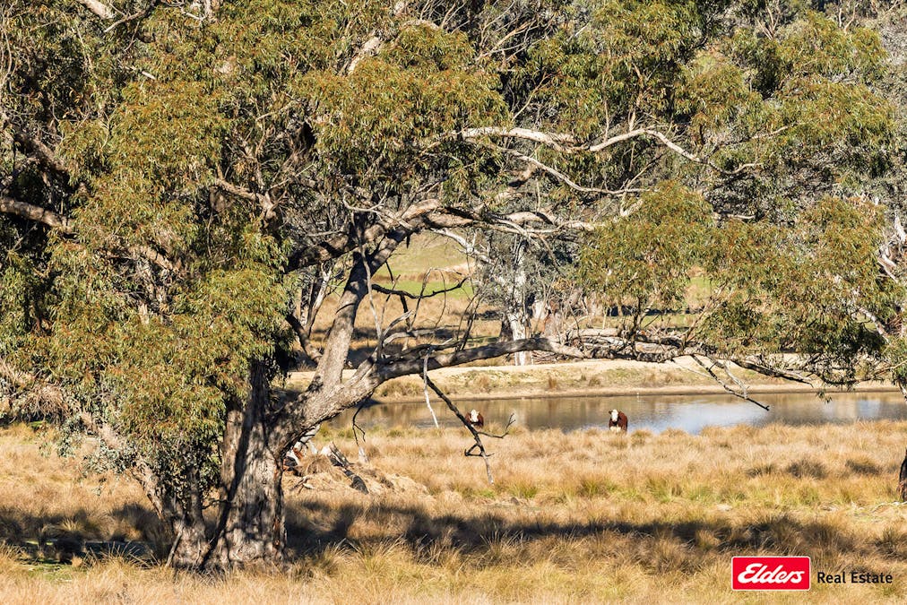 Reids Flat Road, Reids Flat, NSW, 2586 - Image 23