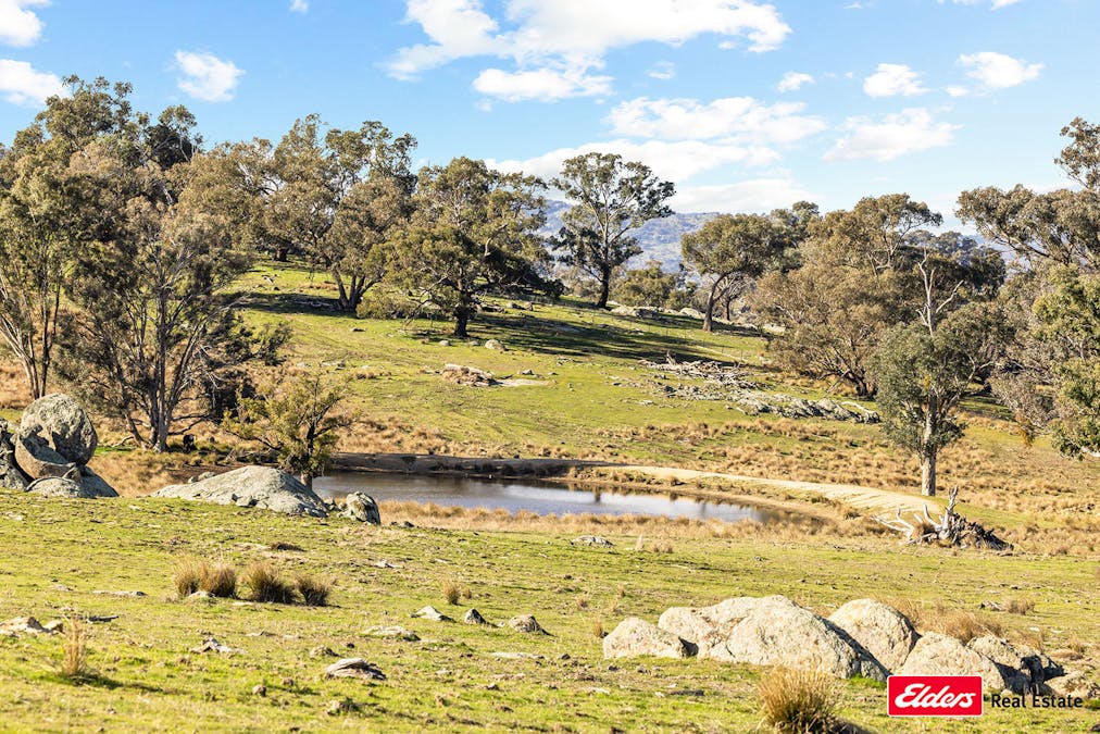 Reids Flat Road, Reids Flat, NSW, 2586 - Image 25