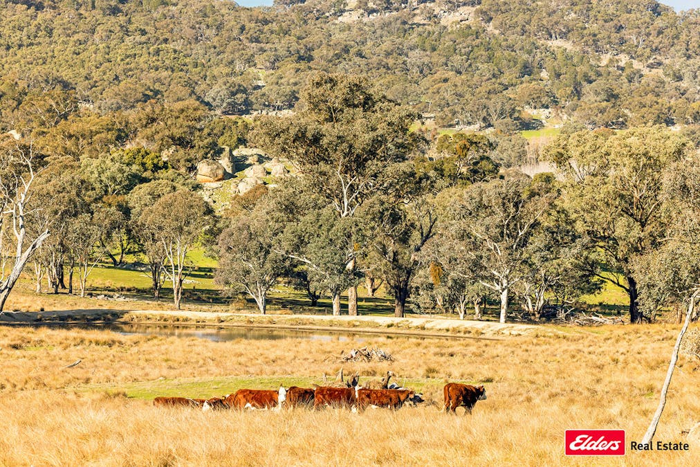 Reids Flat Road, Reids Flat, NSW, 2586 - Image 16