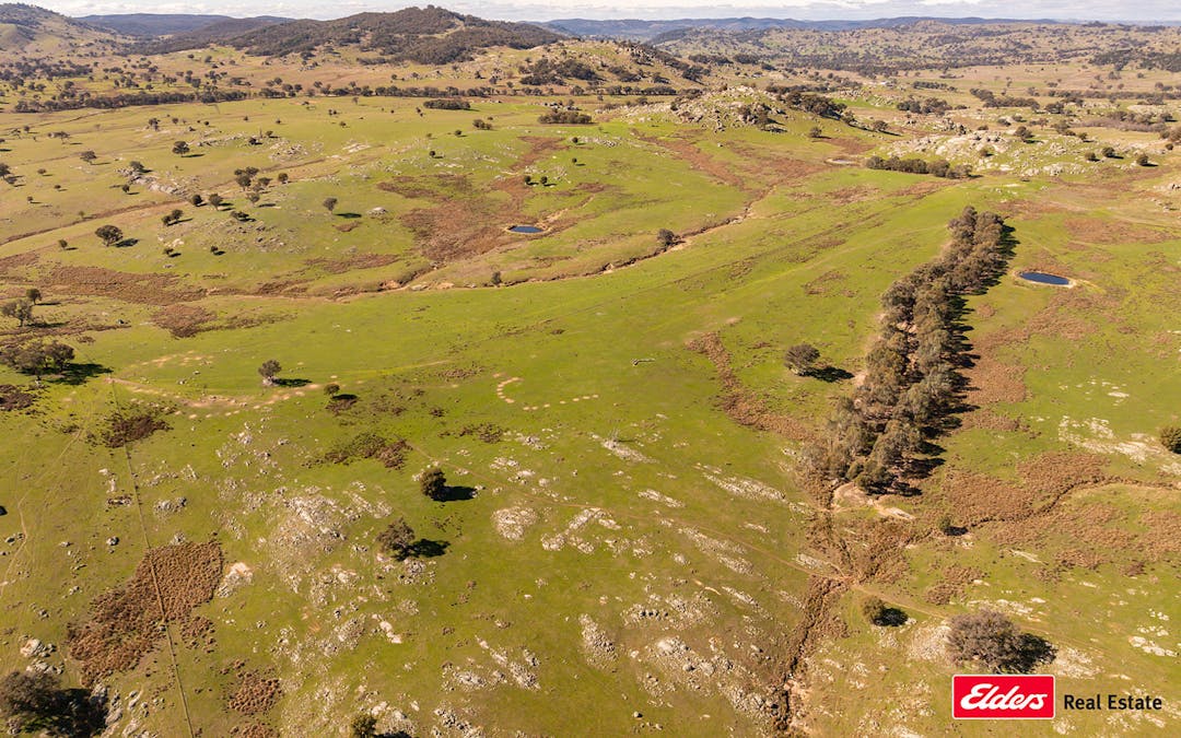 Reids Flat Road, Reids Flat, NSW, 2586 - Image 26