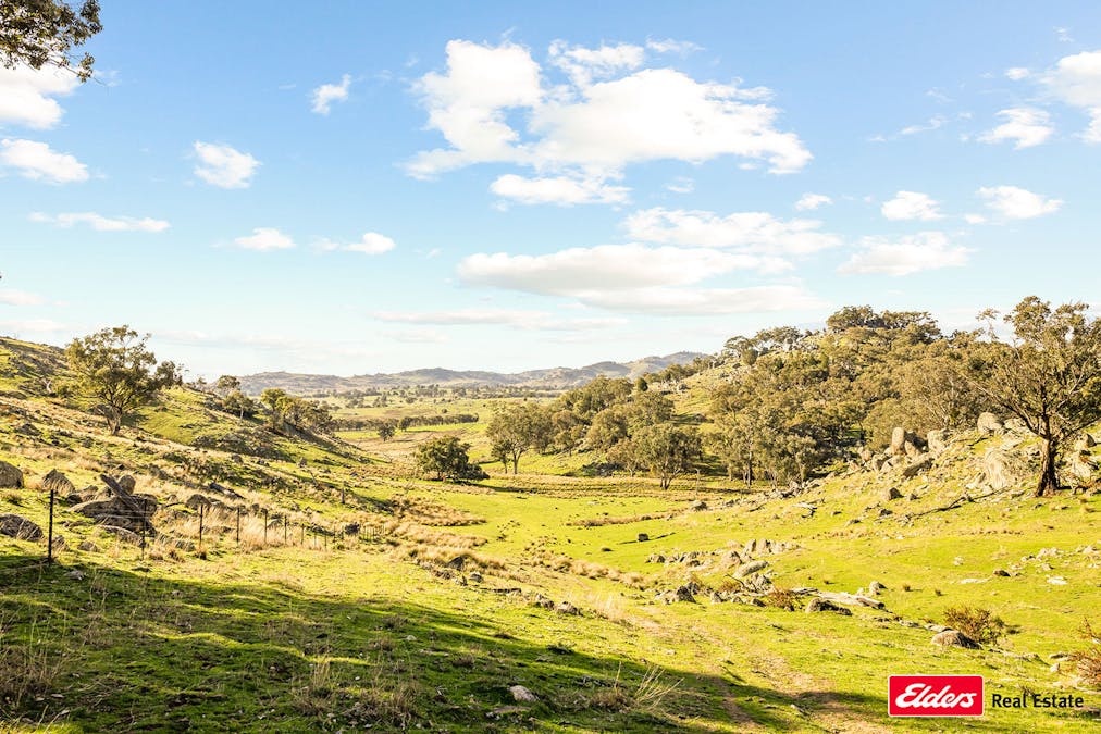 Reids Flat Road, Reids Flat, NSW, 2586 - Image 27