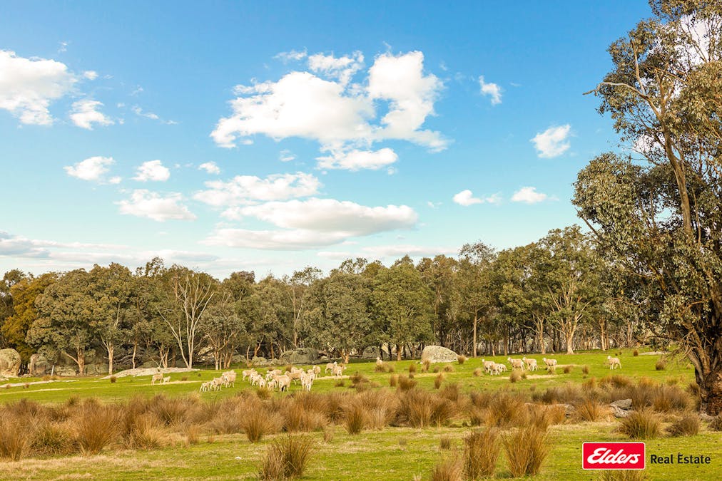 Reids Flat Road, Reids Flat, NSW, 2586 - Image 19