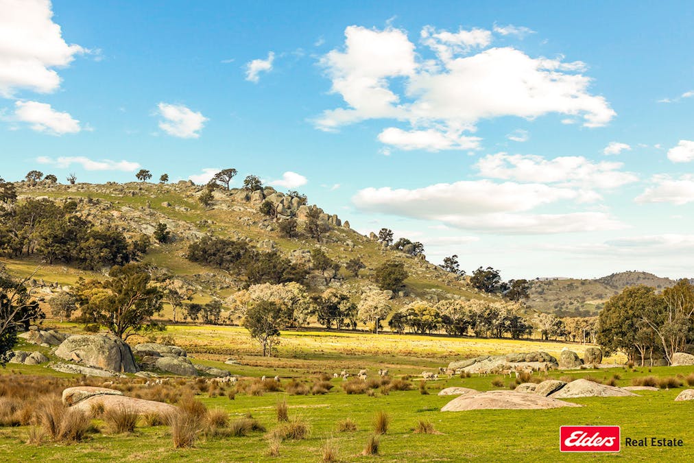 Reids Flat Road, Reids Flat, NSW, 2586 - Image 29