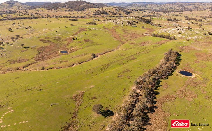 Reids Flat Road, Reids Flat, NSW, 2586 - Image 1