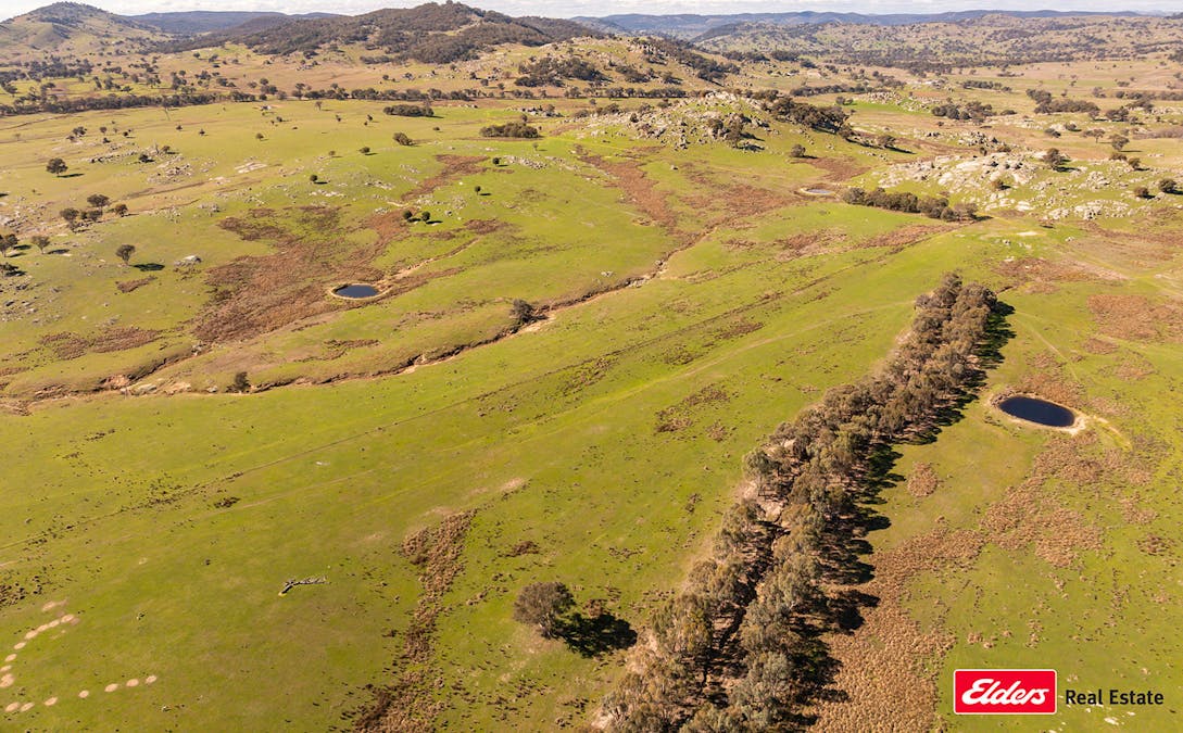 Reids Flat Road, Reids Flat, NSW, 2586 - Image 1