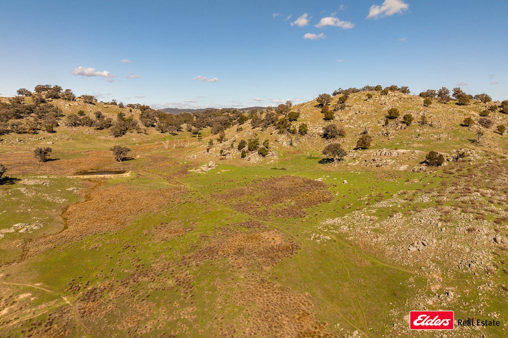 Reids Flat Road, Reids Flat, NSW, 2586 - Image 30