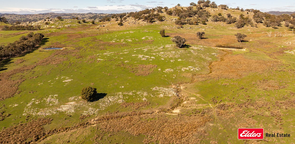 Reids Flat Road, Reids Flat, NSW, 2586 - Image 31