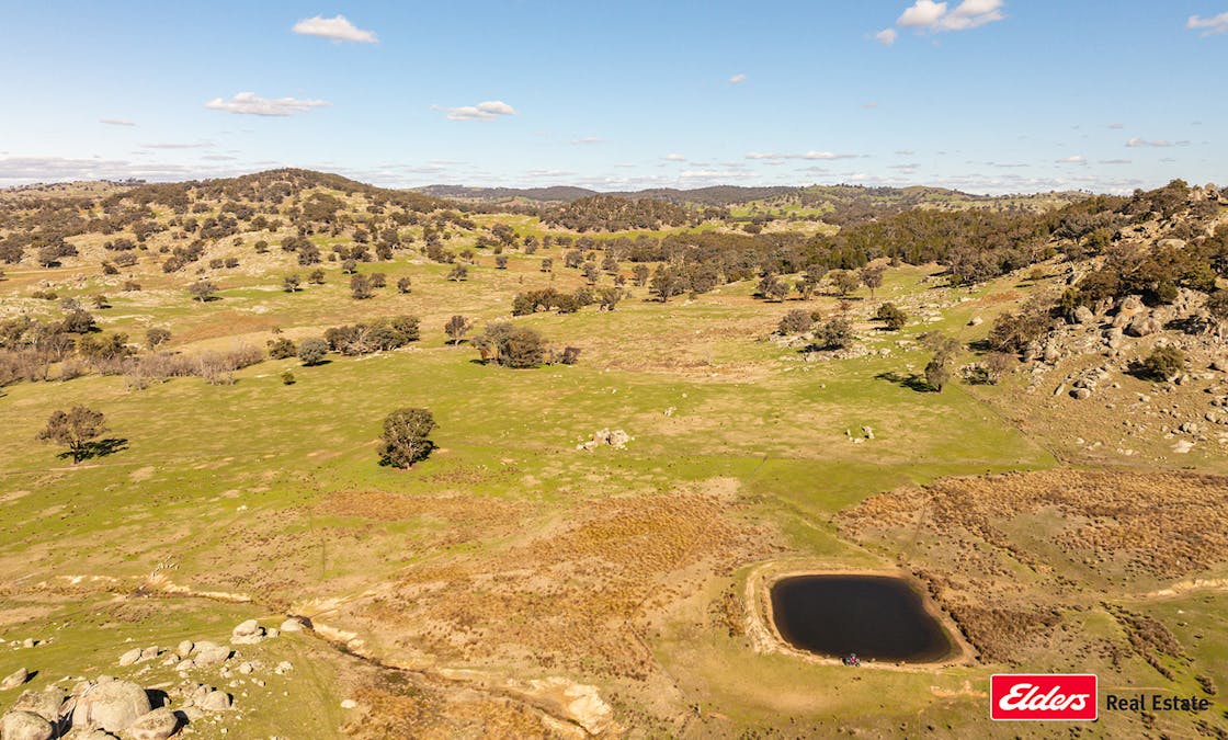 Reids Flat Road, Reids Flat, NSW, 2586 - Image 32
