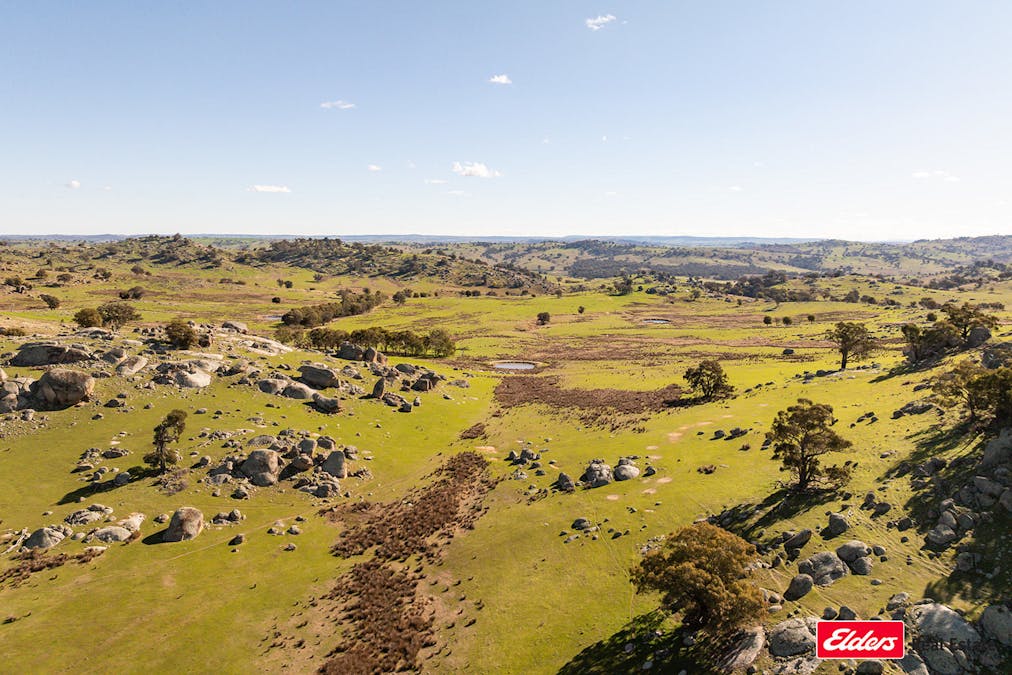 Reids Flat Road, Reids Flat, NSW, 2586 - Image 33