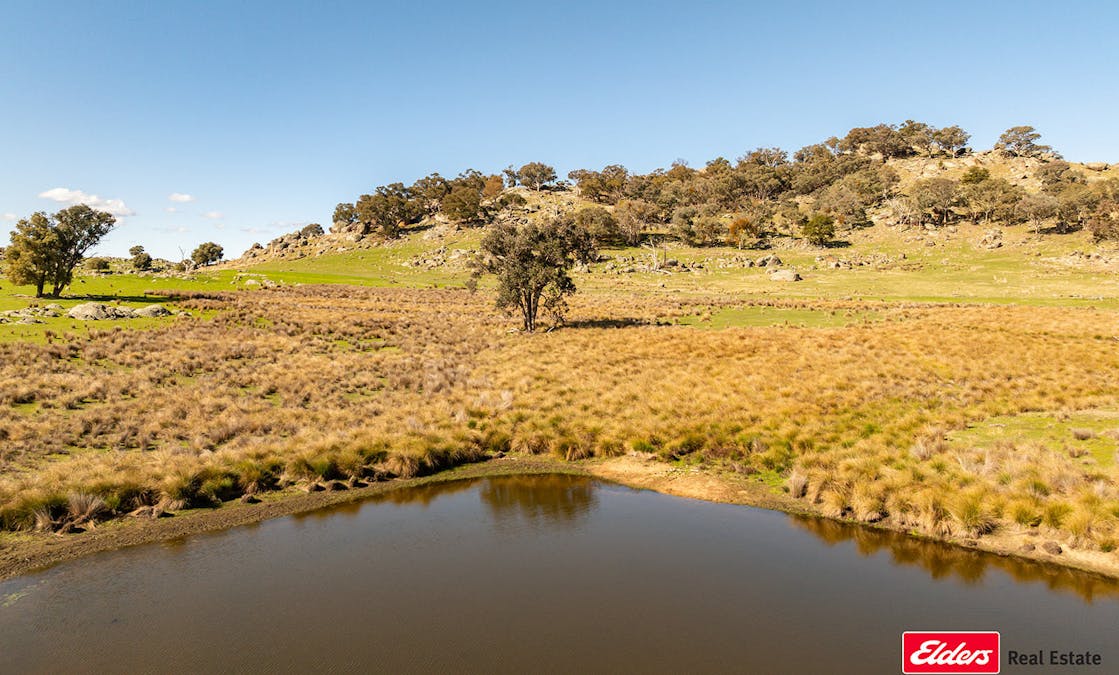 Reids Flat Road, Reids Flat, NSW, 2586 - Image 34