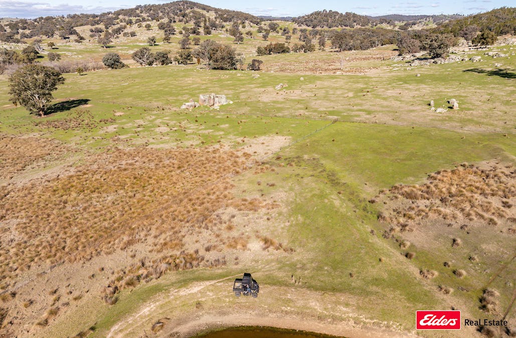 Reids Flat Road, Reids Flat, NSW, 2586 - Image 14
