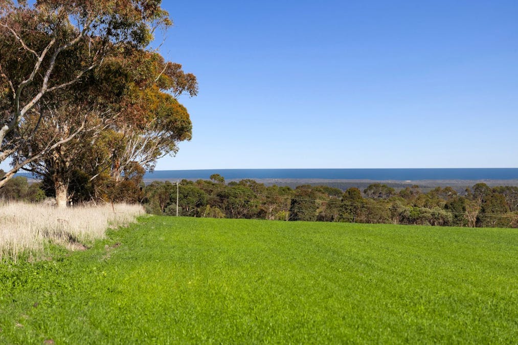 245-319 Murradoc Road, Drysdale, VIC, 3222 - Image 7