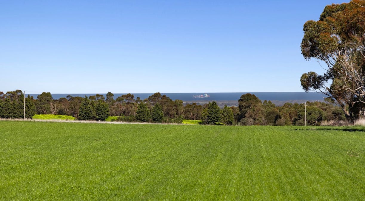 245-319 Murradoc Road, Drysdale, VIC, 3222 - Image 3