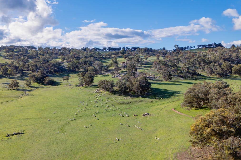 Moramockining Road, Wandering, WA, 6308 - Image 2