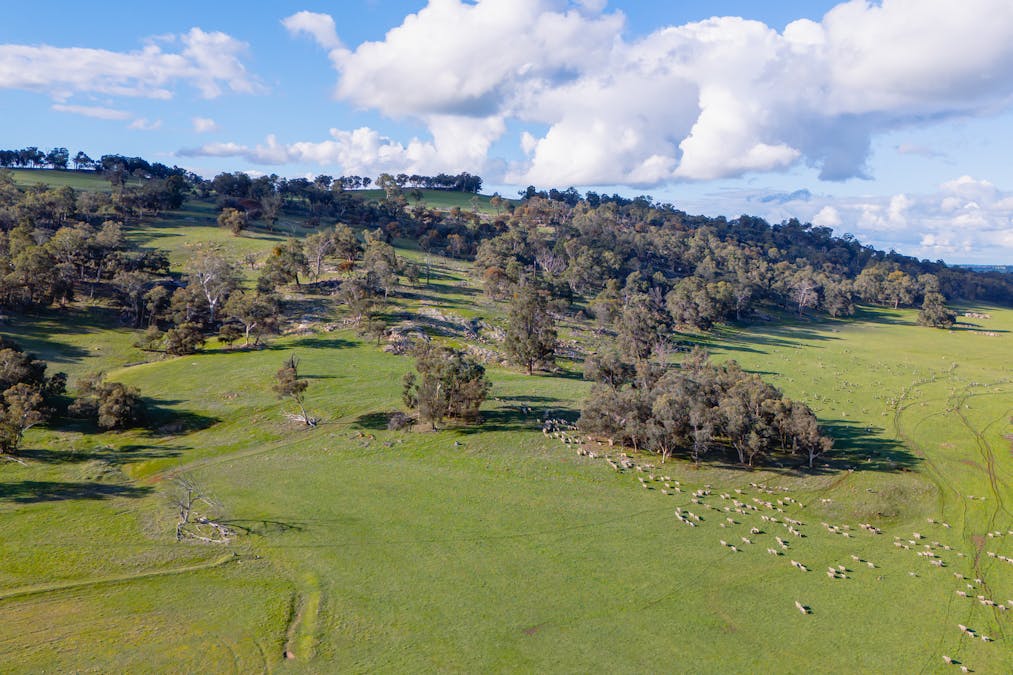 Moramockining Road, Wandering, WA, 6308 - Image 13