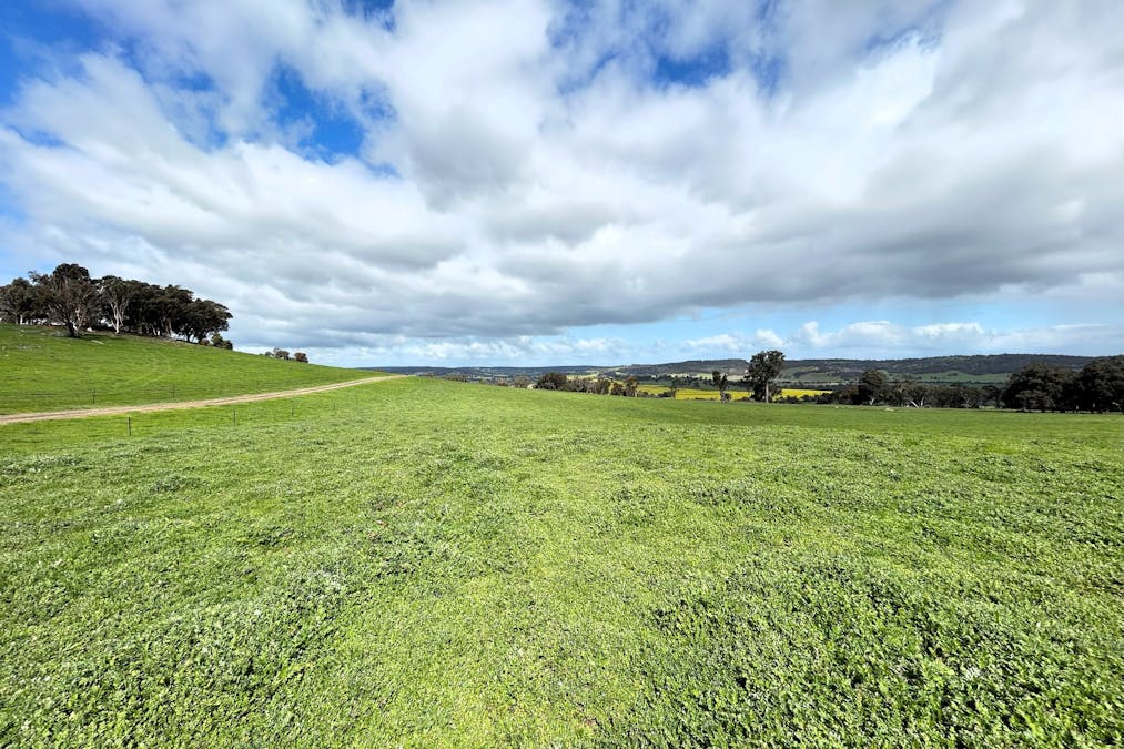 Moramockining Road, Wandering, WA, 6308 - Image 19