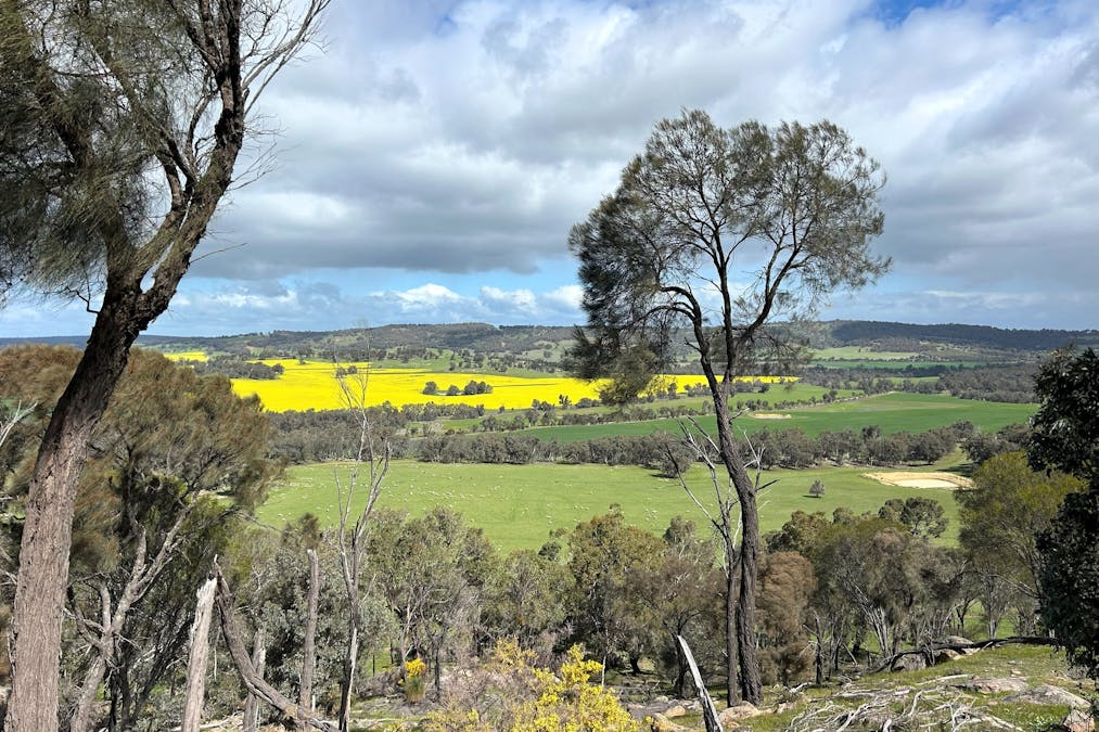 Moramockining Road, Wandering, WA, 6308 - Image 12