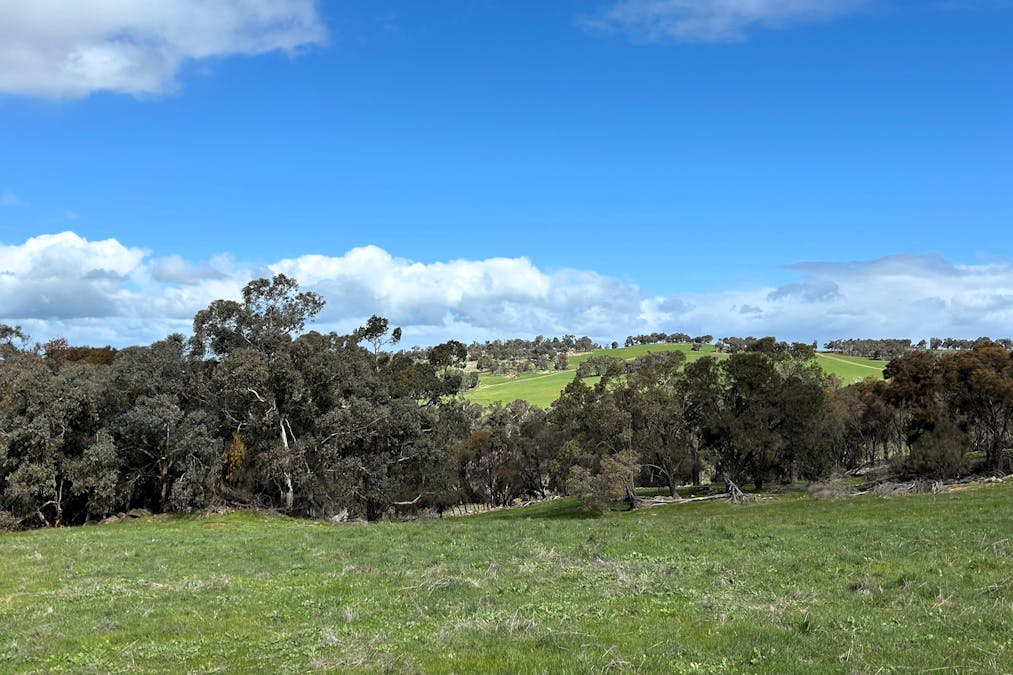Moramockining Road, Wandering, WA, 6308 - Image 20