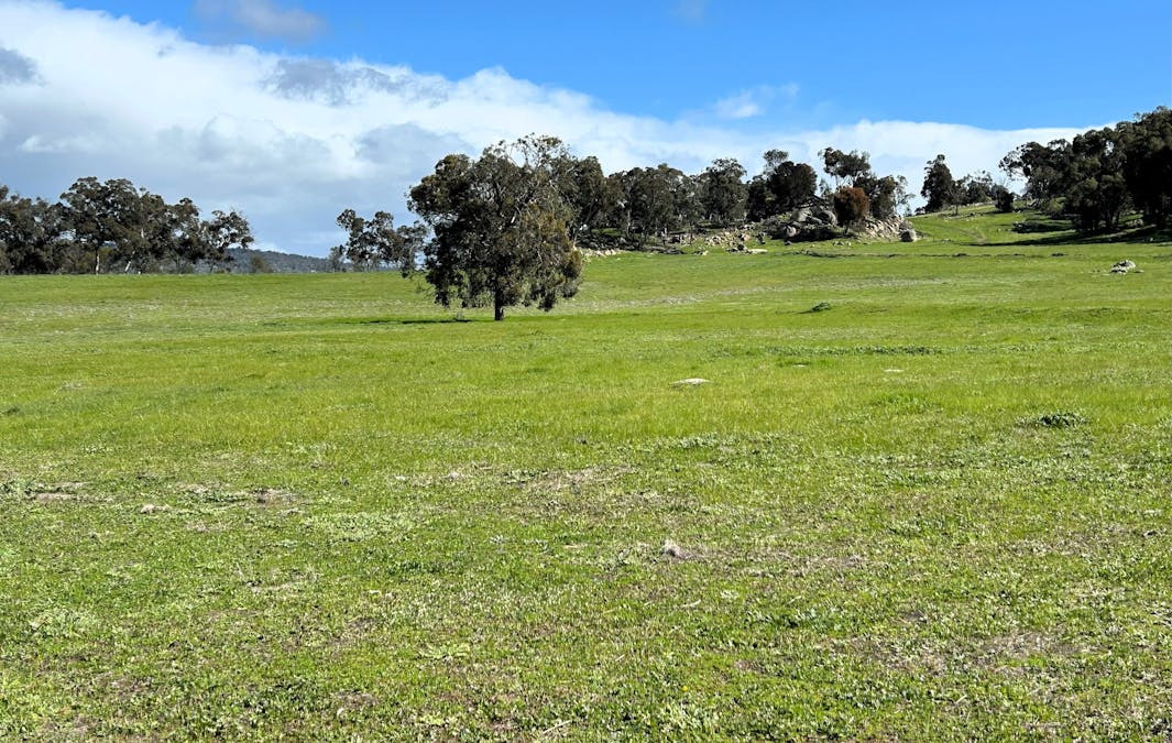 Moramockining Road, Wandering, WA, 6308 - Image 8