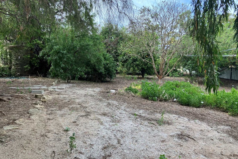 7 Willow Avenue, Lucindale, SA, 5272 - Image 9