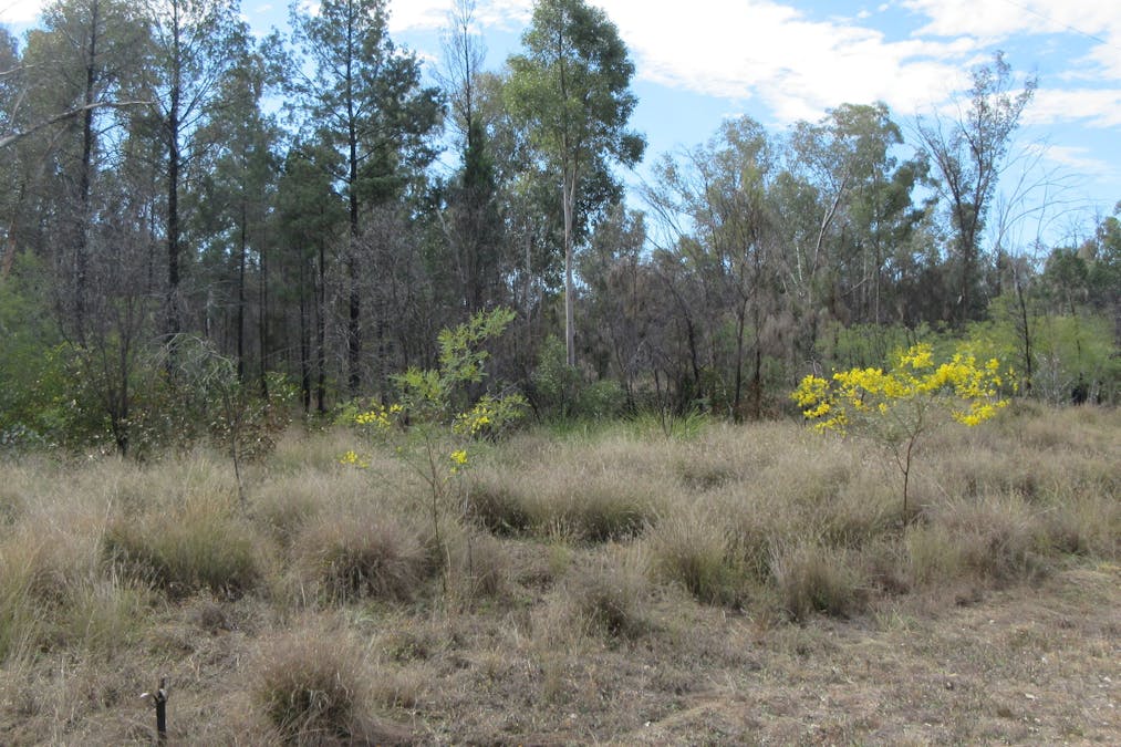 1/Timothy Road, Tara, QLD, 4421 - Image 2