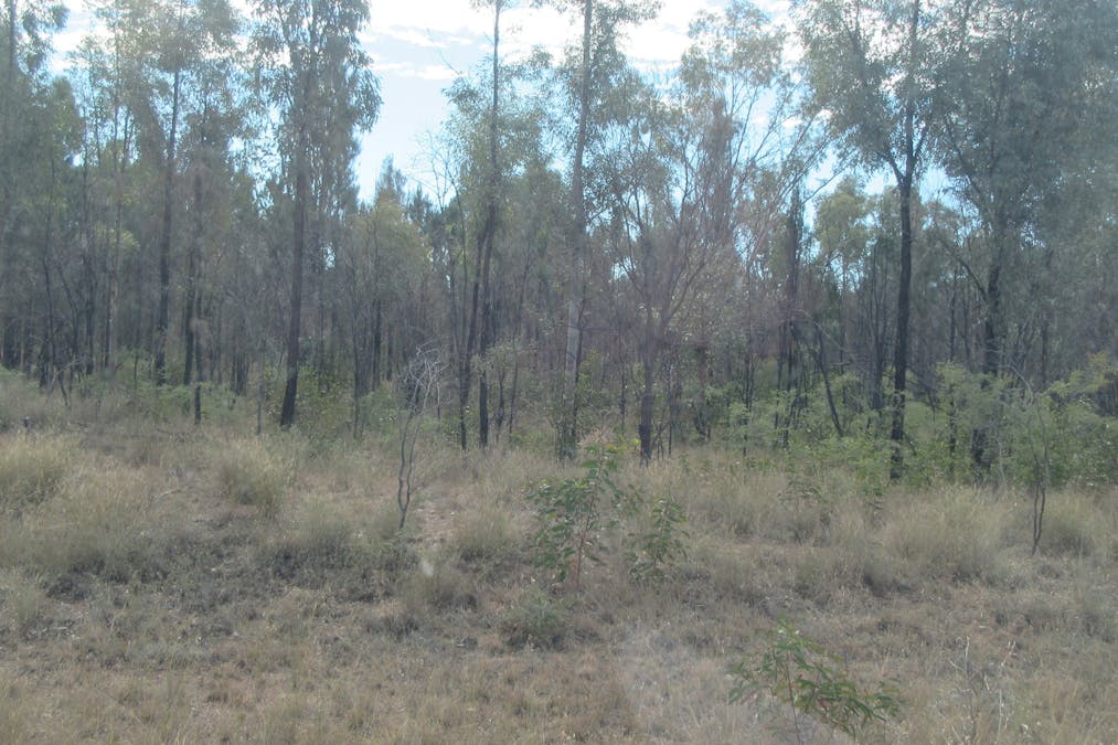 2/Timothy Road, Tara, QLD, 4421 - Image 4
