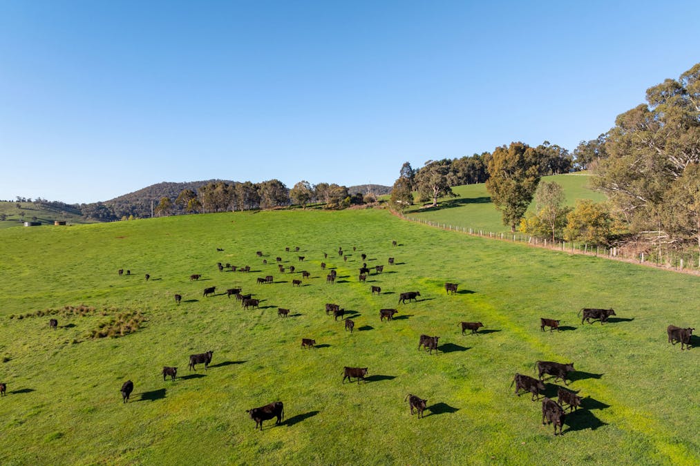 71 Schoolhouse Road, Samaria, VIC, 3673 - Image 25