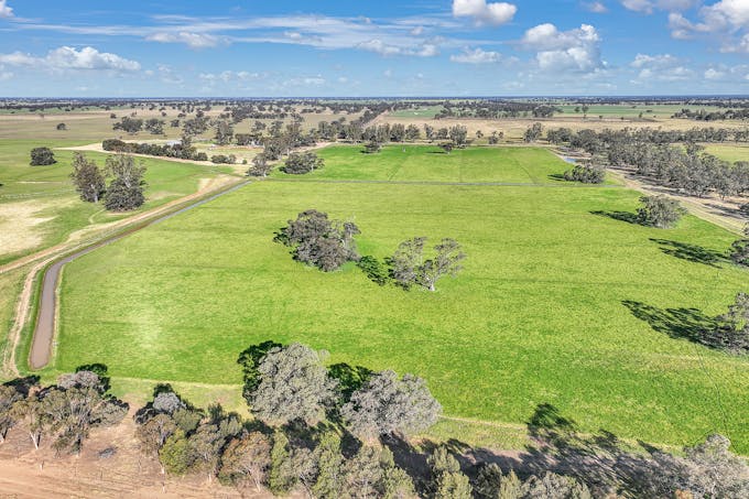 941 Yarraman Road, Bunnaloo, NSW, 2731 - Image 1