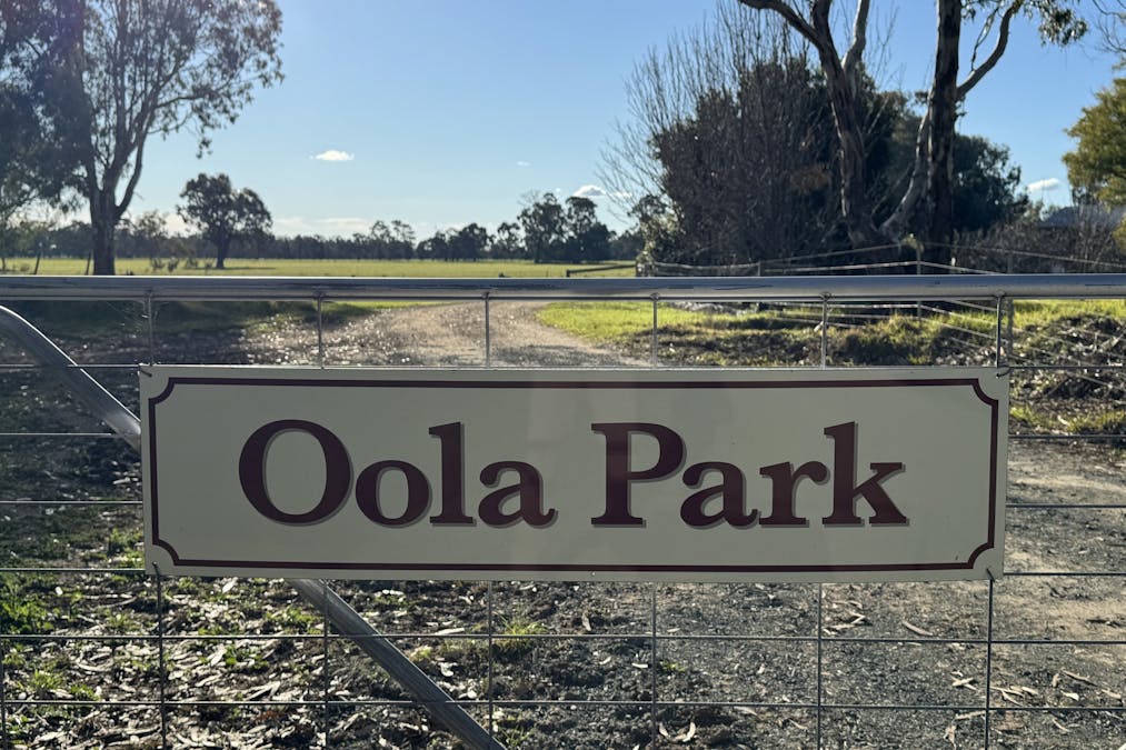 941 Yarraman Road, Bunnaloo, NSW, 2731 - Image 25