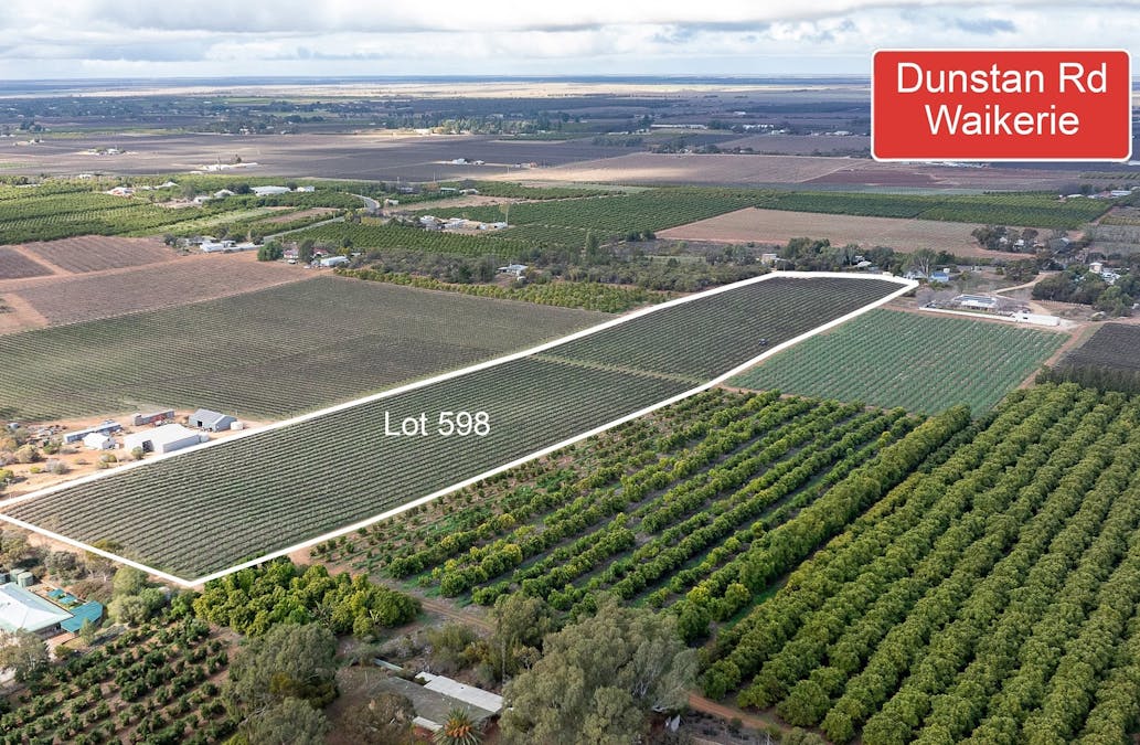 Various locations Roads, Waikerie, SA, 5330 - Image 3