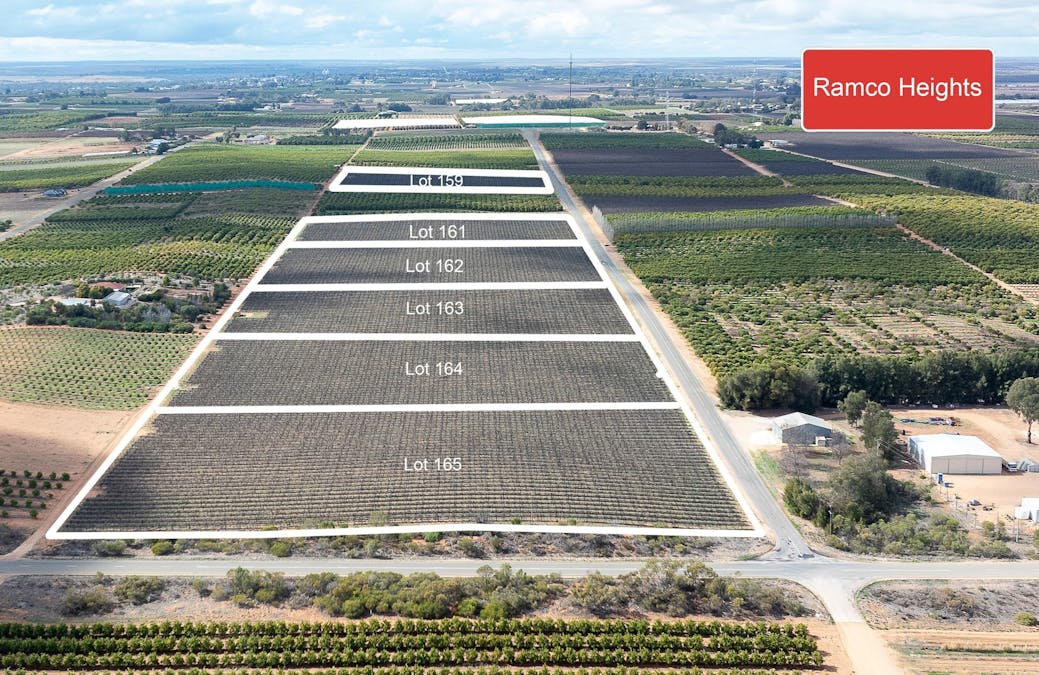 Various locations Roads, Waikerie, SA, 5330 - Image 8