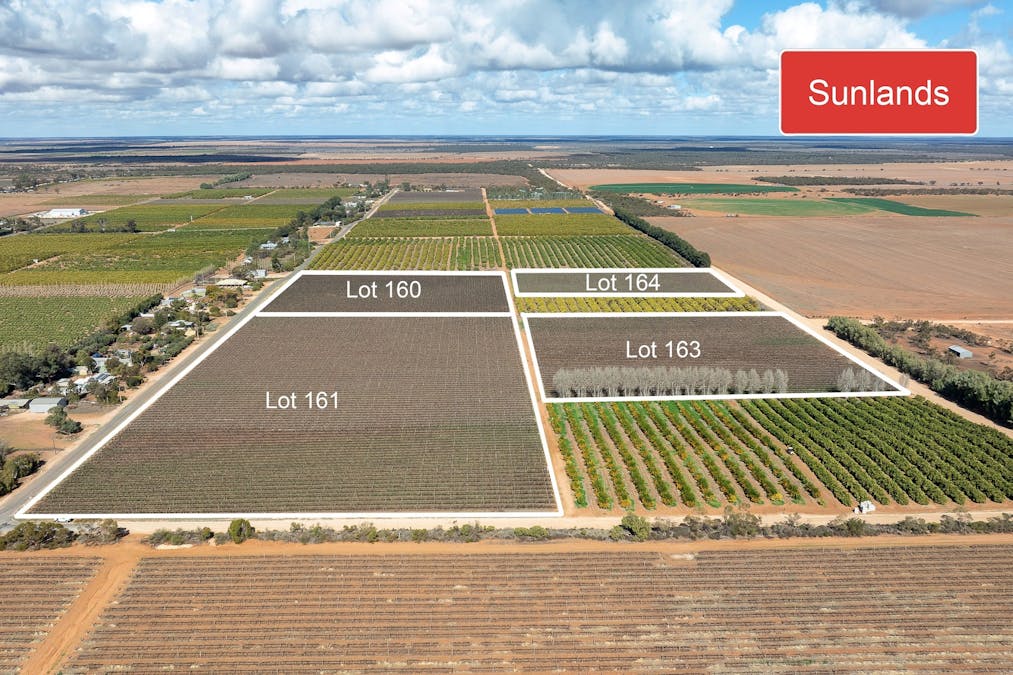 Various locations Roads, Waikerie, SA, 5330 - Image 13