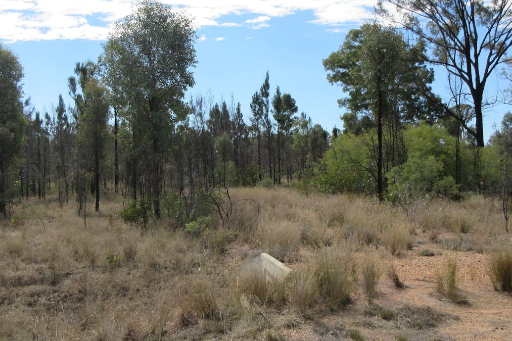 3/Timothy Road, Tara, QLD, 4421 - Image 3